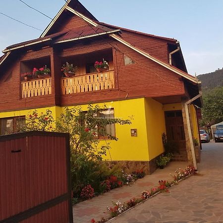 Camere De Inchiriat Floarea Reginei วีเชวเดสซุส ภายนอก รูปภาพ